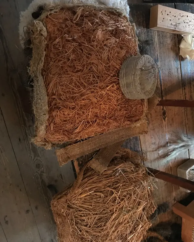 Sedež stola z odprtim naravnim polnilom (začasna fotografija)